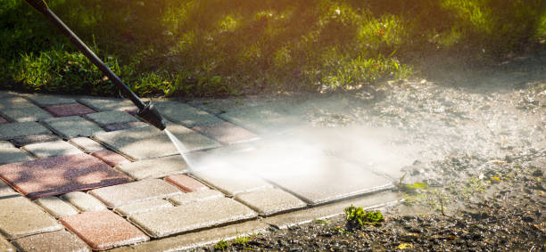 Animal Enclosure Cleaning in La Presa, CA